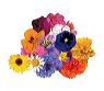 mixed_flowers